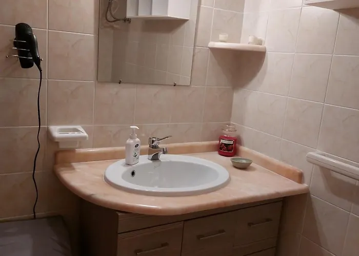 Two-room With A Private Terrace דירה וילסימיוס